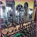 킹스바디 이미지