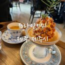 카카오 이미지