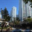 좌산초교 이미지