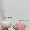 디어플라워스튜디오 이미지