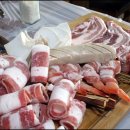 바닷속고기왕국 이미지