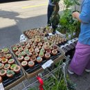 앤틱가구거리 | 내 안의 앤틱 감성을 일깨우는 이태원 앤틱 &amp; 빈티지 플리마켓 후기 (+ 이태원앤틱가구거리)