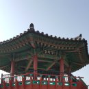 안양천 산책로 Daum카페