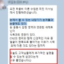 두골비