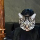 명륜진사갈비쌍용점 이미지