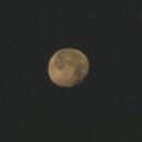 달빛자락 이미지