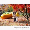 아이누리아이스타 - 하남시 대청로 38 | 아이누리아이스타