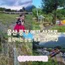 작천정노래연습장 | 울산 아이와 가볼만한곳 움직이는 공룡과 자수정 동굴 송운사 무료주차 무료입장