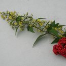 불후의 명곡 설운도편, 문명진...JK 김동욱 이미지