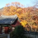 범어사 - 1635 | 범어사