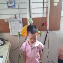 가오엑티브태권도 이미지