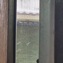 벗나무집 | [26.02.02~08] 취준생의 일주일, GD 팬미팅에 가다