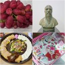 생생팜 대가야로컬푸드 직매장 | 고령가볼만한 곳 고령통통별곡 고령 체험여행