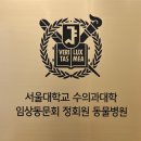용인동물병원 | 강아지 비장종양·혈관육종 수술 후기｜용인 분당 P&amp;P동물병원