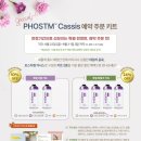 티엠코리아 이미지