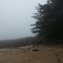 (주)동글