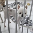 (주)한방스퀘어 네이버블로그