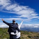 관음사 입구 주차장 이미지