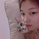 유정이네 이미지