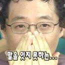 롱헤어 수모 수영짱되는법 대형 내돈내산 후기
