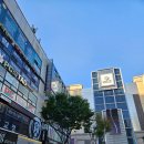 분당-206 이미지