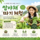 그림책나들이 | 용인 처인구 어비리 반코 카페 아이랑 가볼곳 어린이 야외체험 쌈야채 따기 체험 대형카페