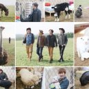 이목목장 이미지