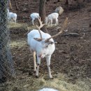 상상목장 이미지