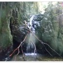 뒷골2로 이미지