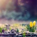 우리아이어린이수영장 이미지