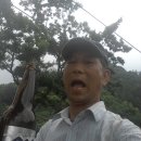 맥주한잔 - 제주시 서사로 165 | 맥주한잔