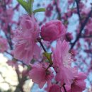 강남 규정 행정사사무소 이미지