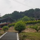UR(상주시)-[덕암로]-상-5 | 의령 수도사(宜寧 修道寺).원효대사(元曉大師)님의 발길따라 수도사를 걷다