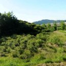 입면사무소 이미지