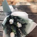 시가자도 이미지