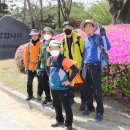 서해랑길 81코스 후기 : 유곡2교차로~장고항2리정류장 - 2023.04.22 이미지