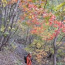 절골공원 | (44)청송 주왕산 트레킹(주산지.절골.용추협곡)...