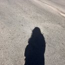 동네빵집PAO | [든든이네 사서고생기 D+528] 다합 | 다합 중식 맛집_드래곤 하우스, 아이스크림 맛집_ICE BUBBLE