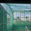 방배골프 | 방배역 근처 인도어 골프연습장 루키아 골프아카데미 사용 후기