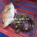 빛나리수산