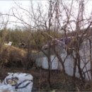 진주글로리아유치원 이미지