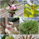 문강농장 이미지