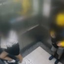 "10대 남" 엘레베이터에서 묻지마(여성혐오) 폭행 이미지