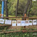 수지생태공원 이미지