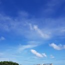 송파공인 일반 행정사사무소 이미지