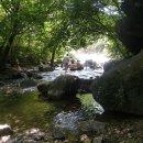 품실채마을 이미지