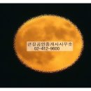 웃음공인중개사사무소 이미지