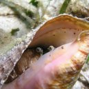 소라컴퍼니 이미지