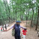 동화나라숲 어린이집 이미지