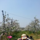 동권농장 이미지